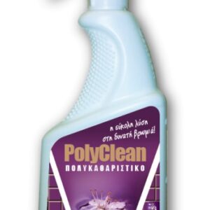 Polyclean 0,710L